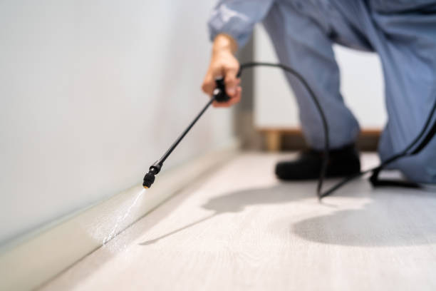 Licensed Exterminator service in Springville, IA - Show Me Pest Control